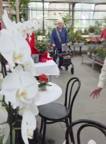 Besuch Orchideenzentrum