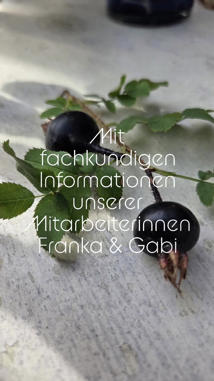 Man kann den Herbst schon riechen